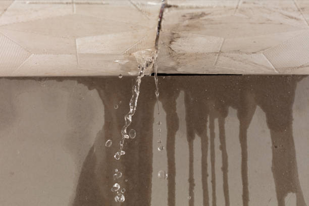 Professional Structural Drying technician working in Easton, CA